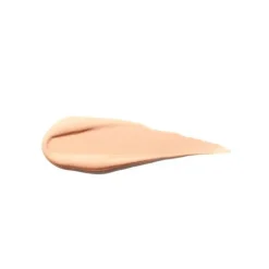 SHISEIDO Synchro Skin Self-Refreshing Concealer