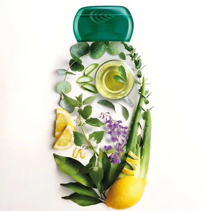 Original Remedies Té Verde & 5 Plantas Champú Detox