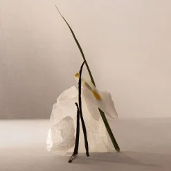 Mujer ADOLFO DOMÍNGUEZ Terracota Musk