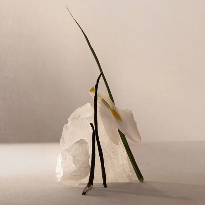 Mujer ADOLFO DOMÍNGUEZ Terracota Musk