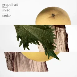 Hombre HERMÈS Terre d'Hermès