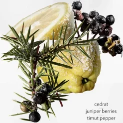 Hombre HERMÈS Terre d'Hermès Eau Givrée