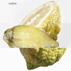 Hombre HERMÈS Terre d'Hermès Eau Givrée