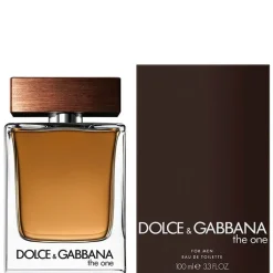 Hombre DOLCE & GABBANA THE ONE For Men