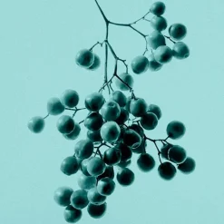 Mujer TIFFANY & CO. TIFFANY EAU DE PARFUM INTENSE