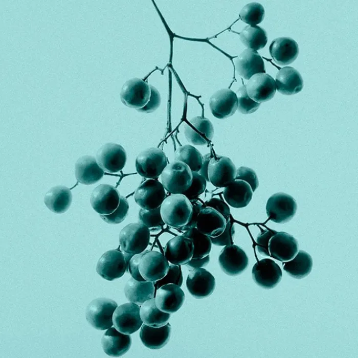 Mujer TIFFANY & CO. TIFFANY EAU DE PARFUM INTENSE