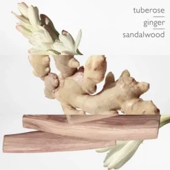 Mujer HERMÈS Twilly d'Hermès