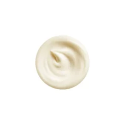SHISEIDO Vital Perfection Intensive Wrinklespot Treatment