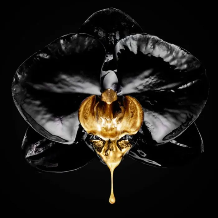 L'Oréal Volume Million Lashes