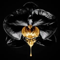 L'Oréal Volume Million Lashes So Couture