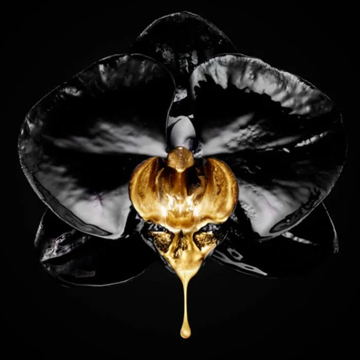 L'Oréal Volume Million Lashes So Couture