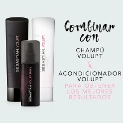 Sebastian Professional Volupt Spray